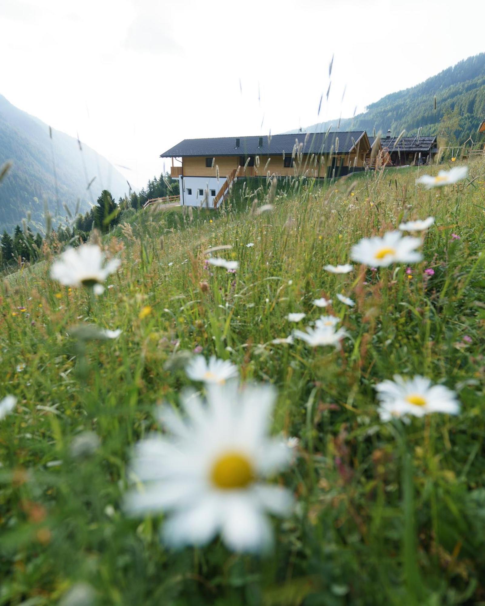 Blosegghof Bergchalets Waldblick Racines Εξωτερικό φωτογραφία